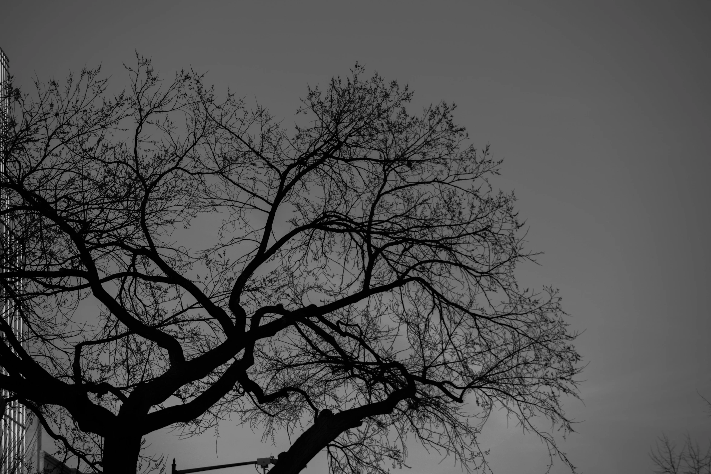 the top of a tall building near trees