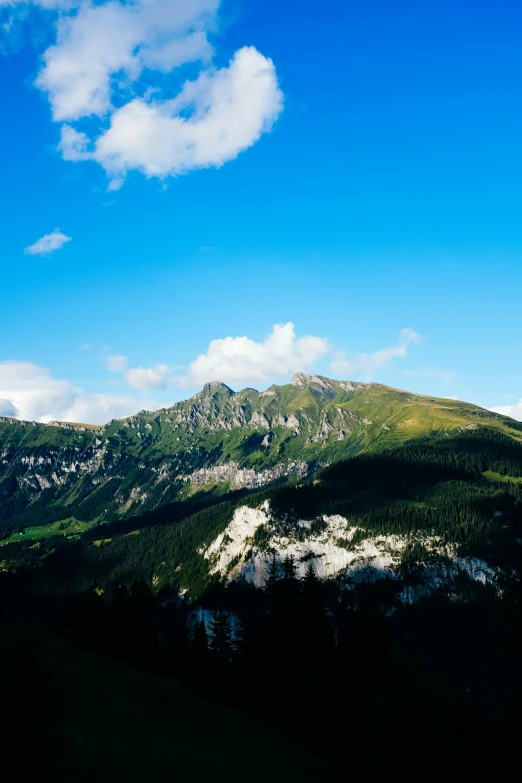 a hillside with many trees, with the sky above