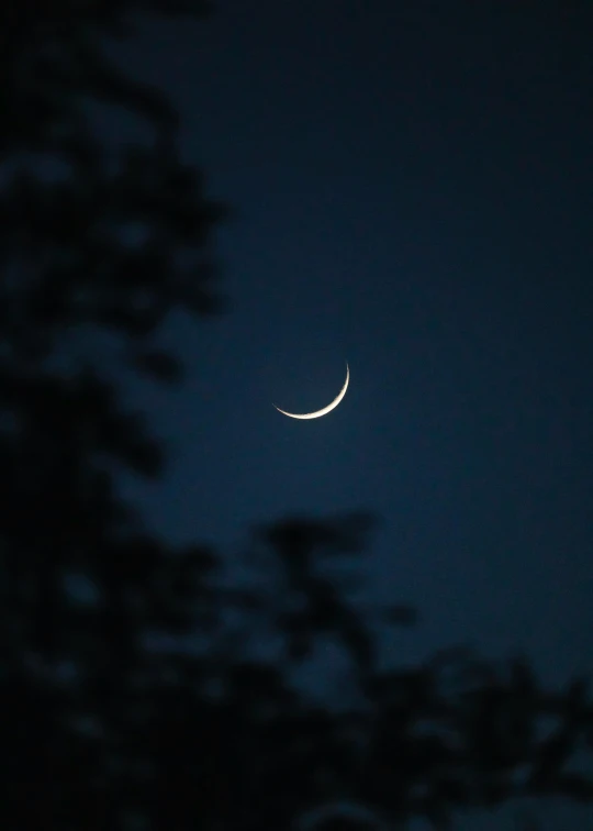 the crescent moon as seen through some tree nches