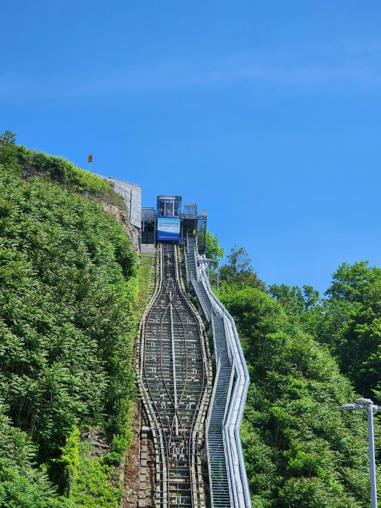 the high steep stairs are surrounded by lush green trees