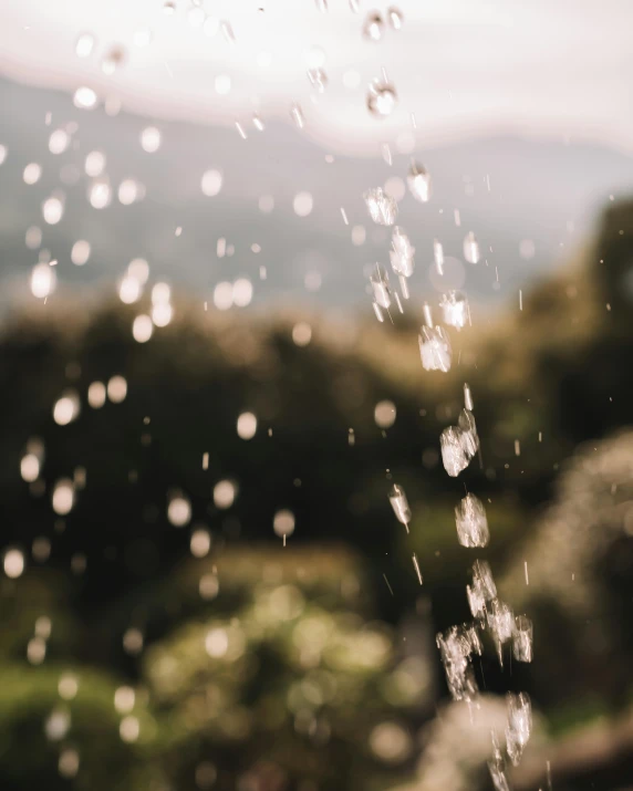 an image of some water droplets on a window