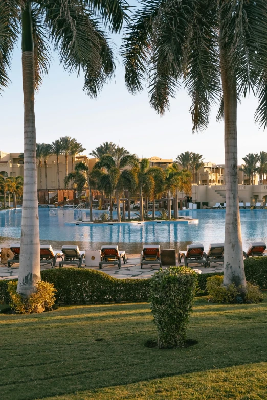 the outdoor pool has chairs and palm trees surrounding it