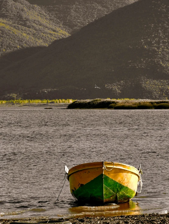 a yellow green and white boat sitting in a body of water