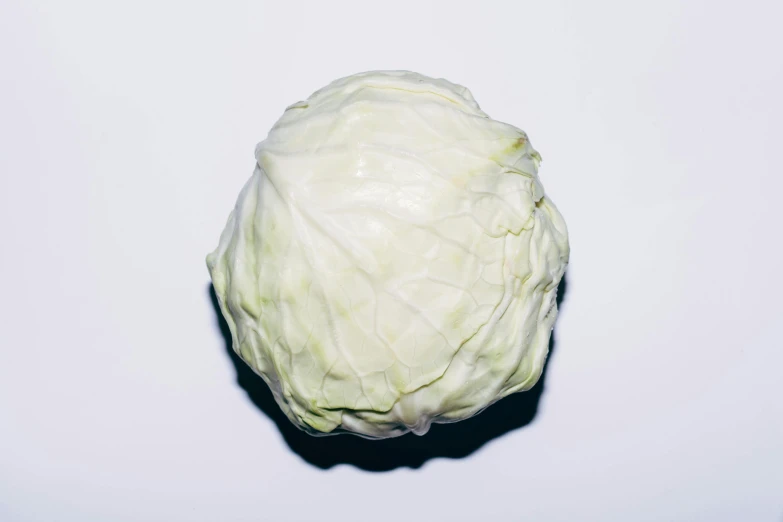 a white cabbage head against a plain white backdrop