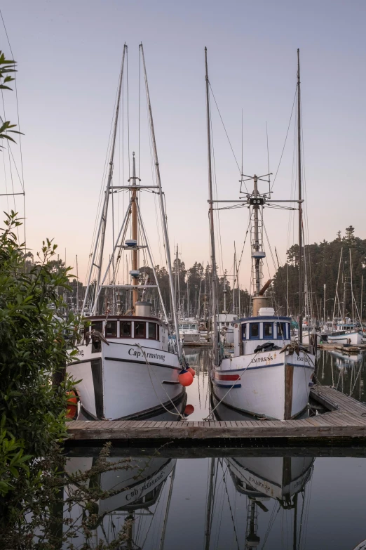 several boats parked at the dock in a harbor