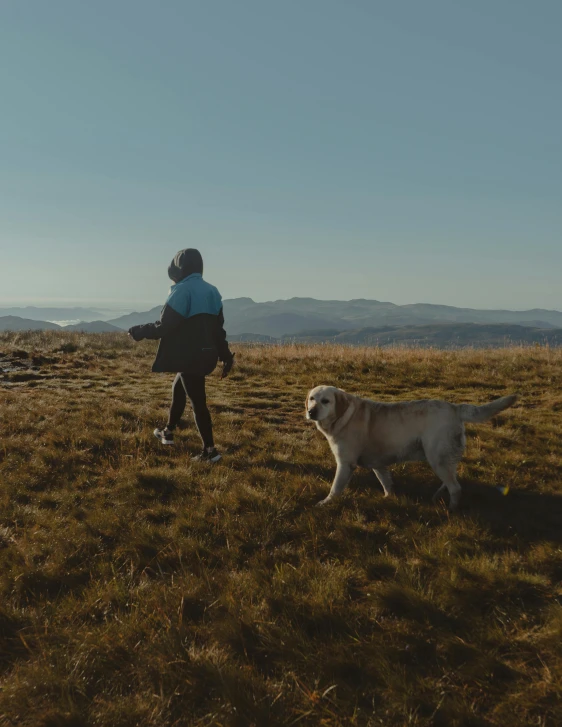 a woman with her dog looking out over the mountains