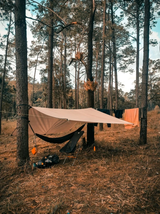 hammock with canvas lining in front of trees and drying line