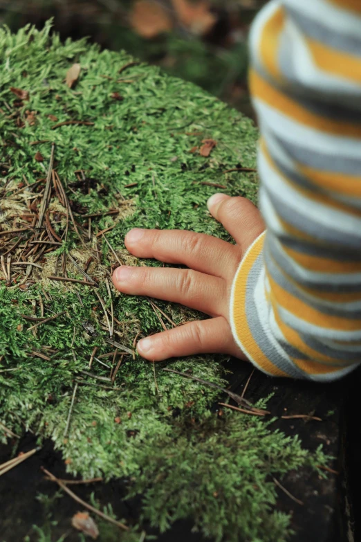 a hand is touching a grassy surface that looks like it's growing on