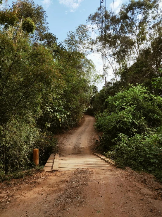 a road through trees and on it there is a sign