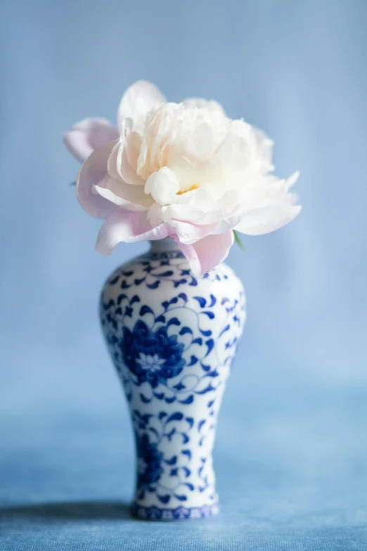 there is a blue and white porcelain vase with a flower in it