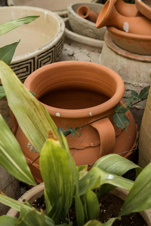 several pots and planters are lined up outside