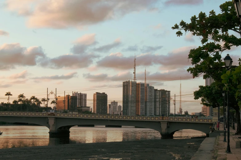 the city view with buildings on both sides and trees on the other side