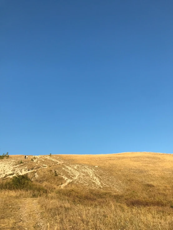 a man on a hill with a kite