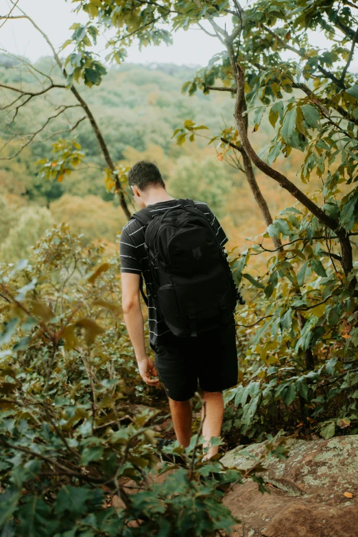 a man with a backpack walks through the woods