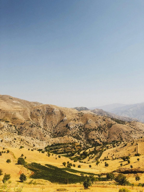 hills and plains with trees in the foreground