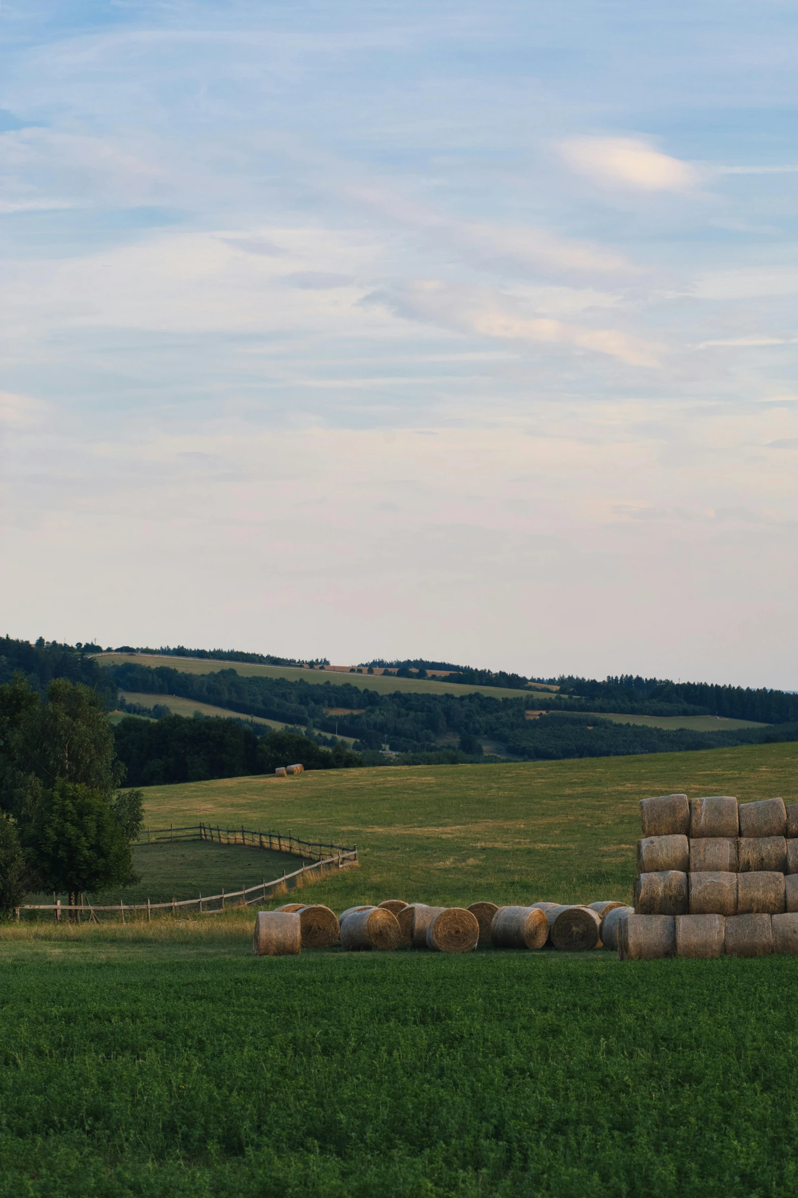 a cow grazing on a field next to a stack of bales