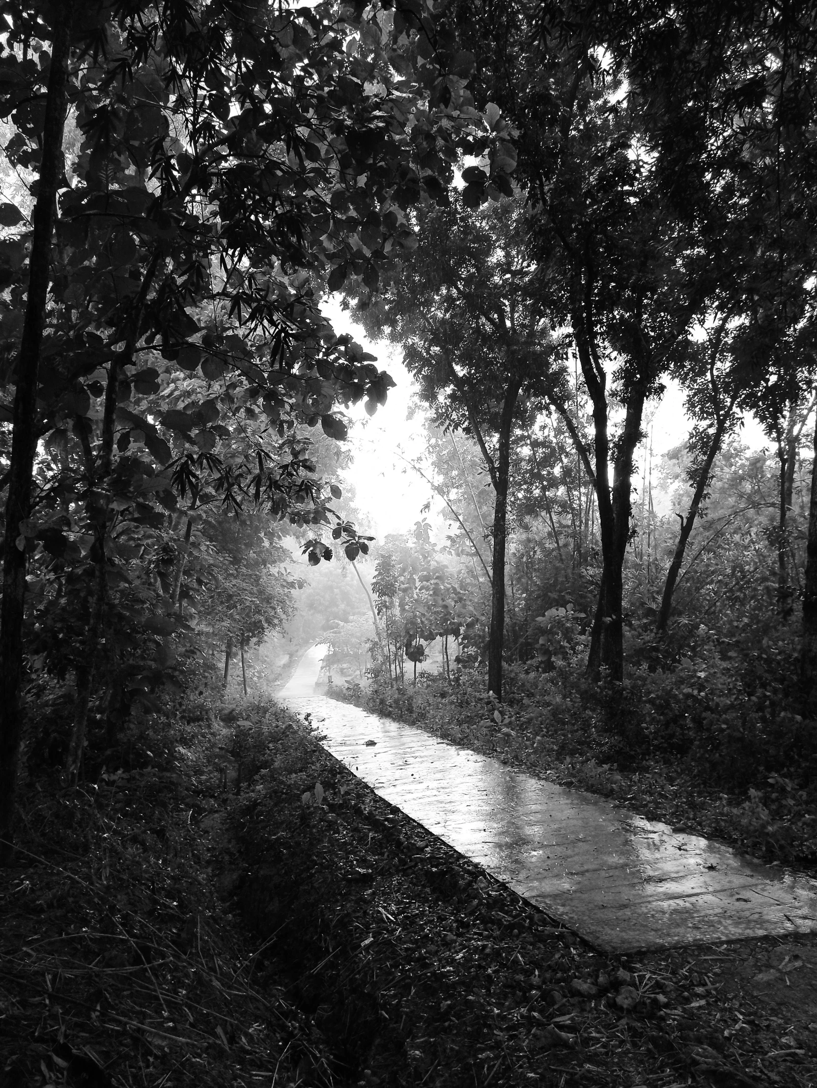 black and white pograph of a road at sunset