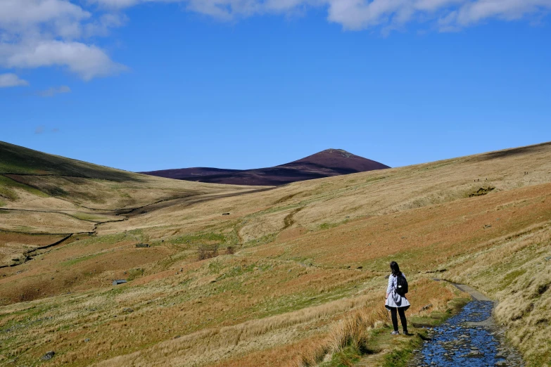 a woman standing in an open grassy area with mountains in the background