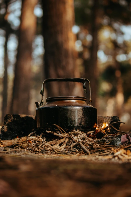 a pot sitting on the ground next to a tree