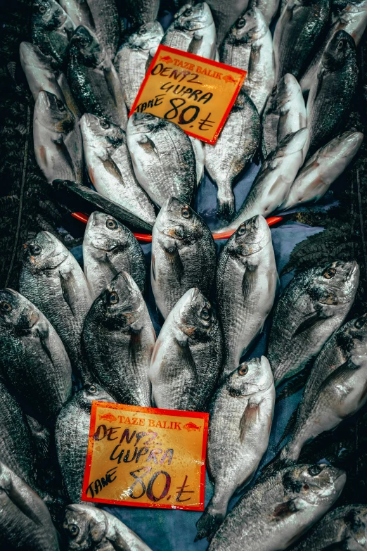 fresh fish are stacked up on a table for sale