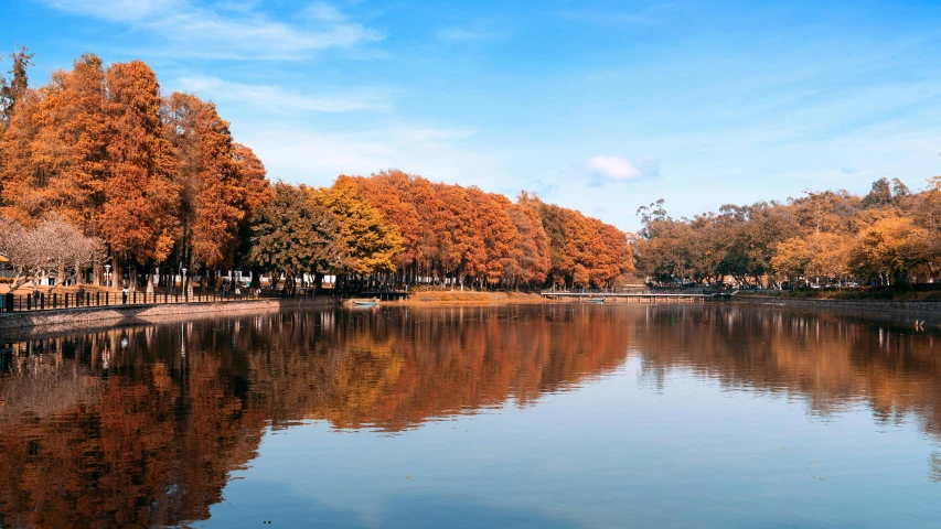 a body of water surrounded by trees with fall foliage