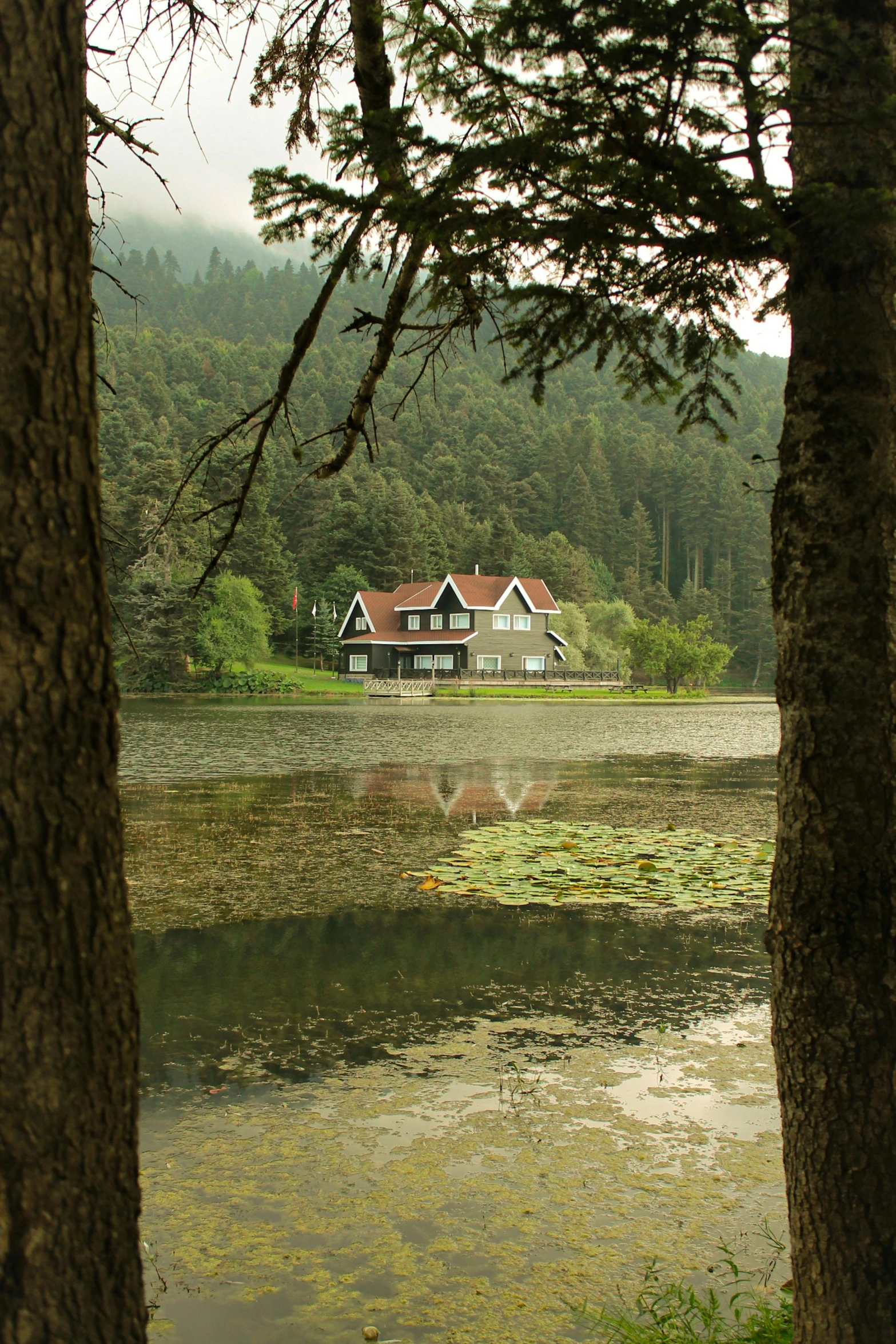 a house near the water in a wooded area