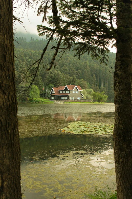 a house near the water in a wooded area