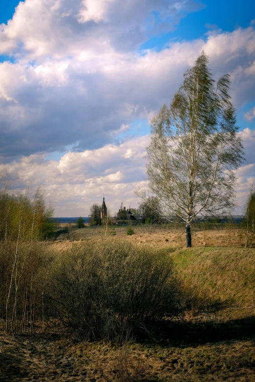 a green and yellow field under a cloudy sky