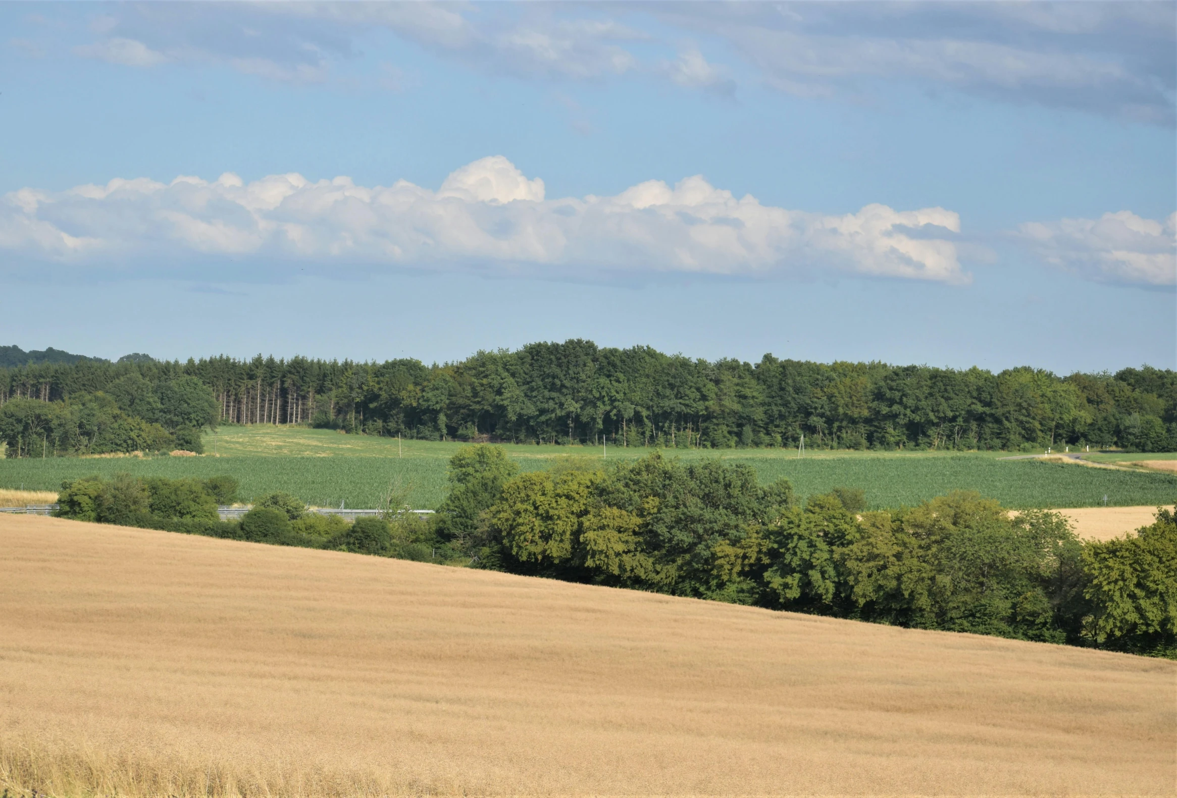 large green trees surrounding grassy field with hills in the background