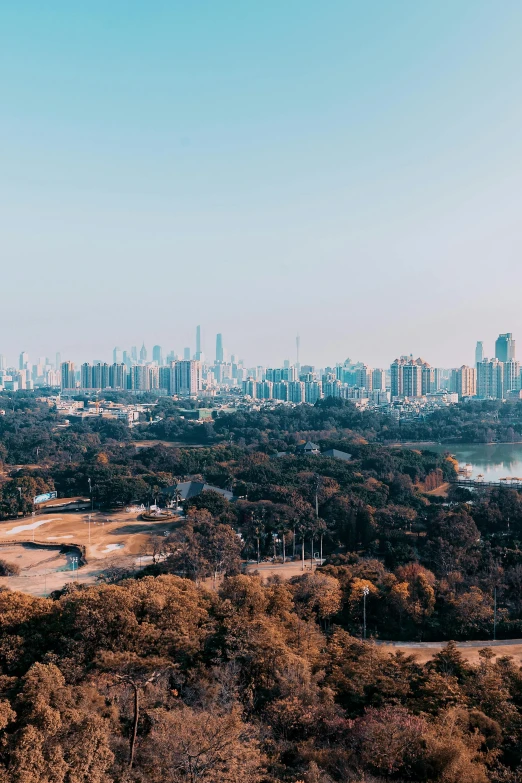 view of city from top of hill above trees and land