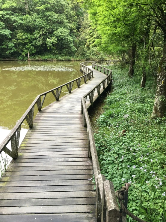 wooden bridge over small body of water in a wooded area