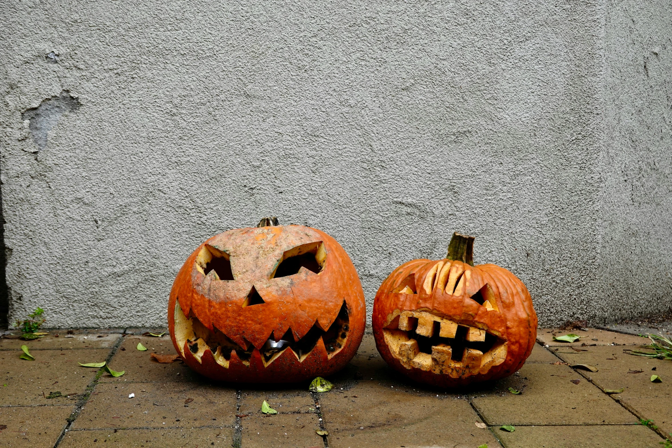 a couple of pumpkins that are sitting on the ground