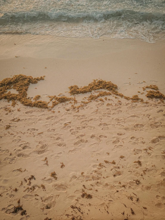 heart drawn in sand on the beach next to the ocean