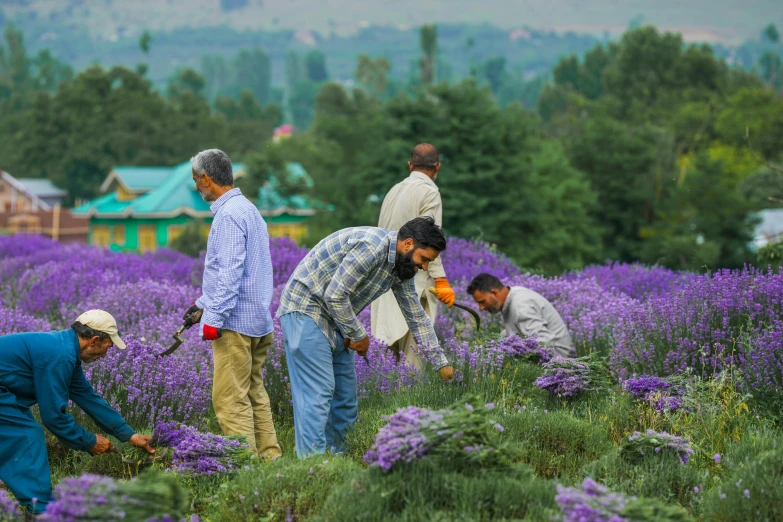 a group of men standing next to each other on a field