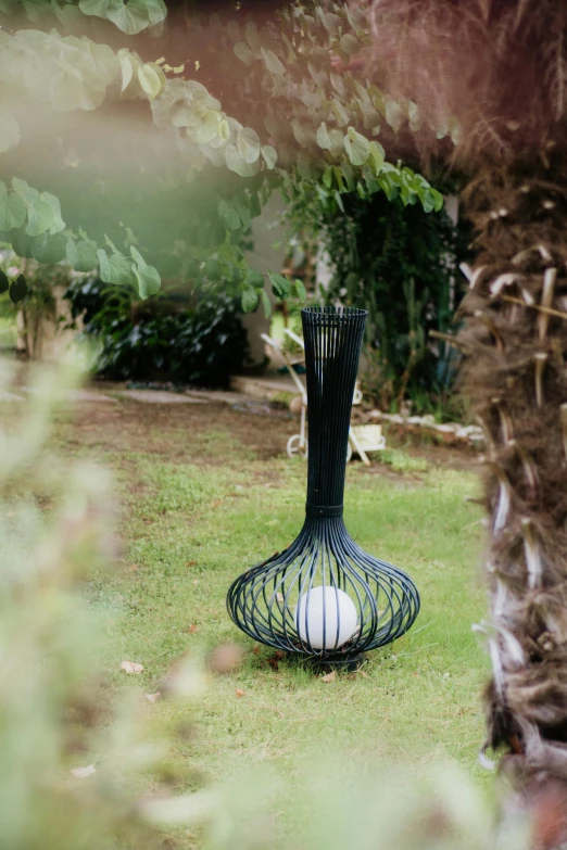 a wire basket that holds a ball sits in the grass