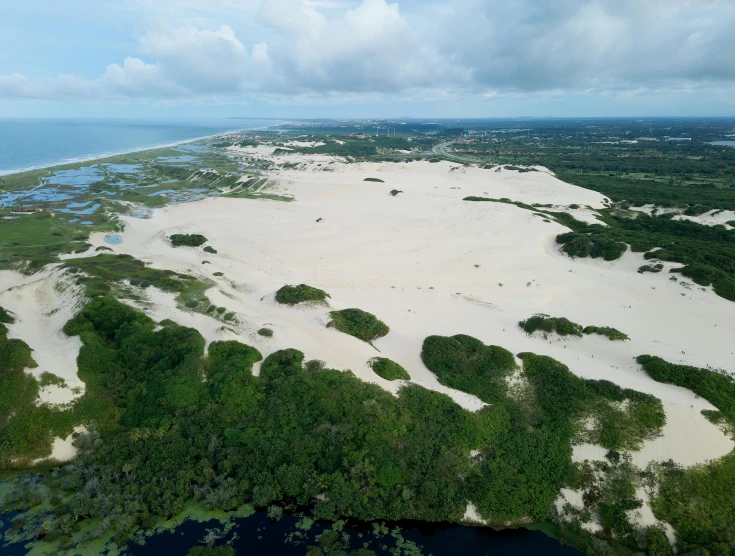 an aerial view of a beach and marsh land