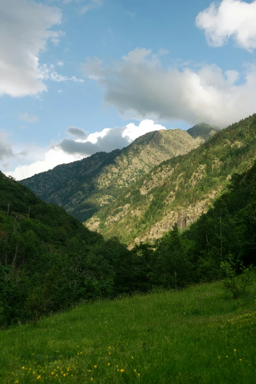 mountains in the distance and green grass on the ground