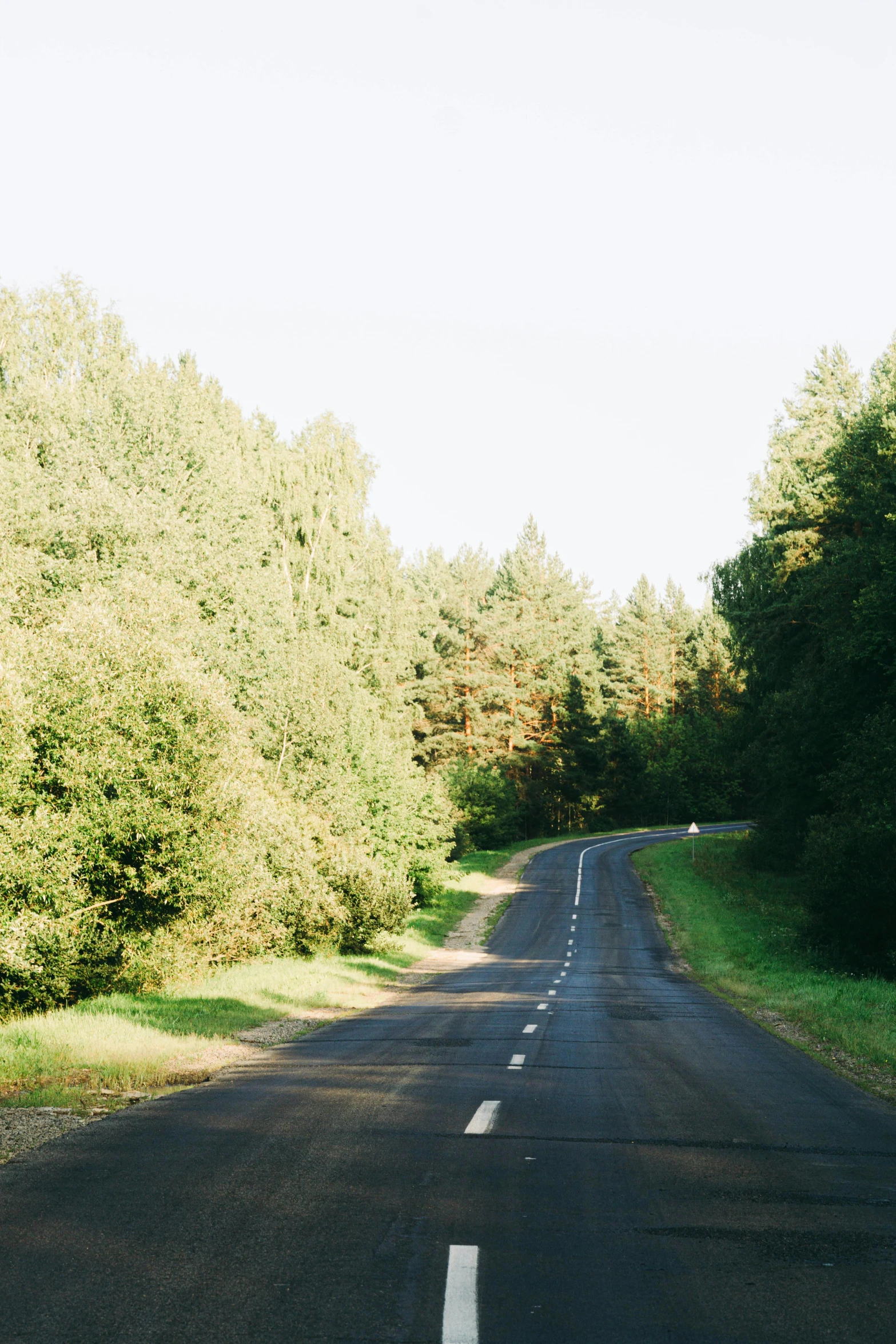 the road has lanes with white paint and some trees on either side