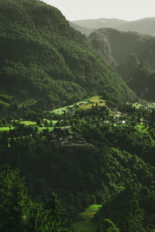 a view of mountains and trees with houses in them