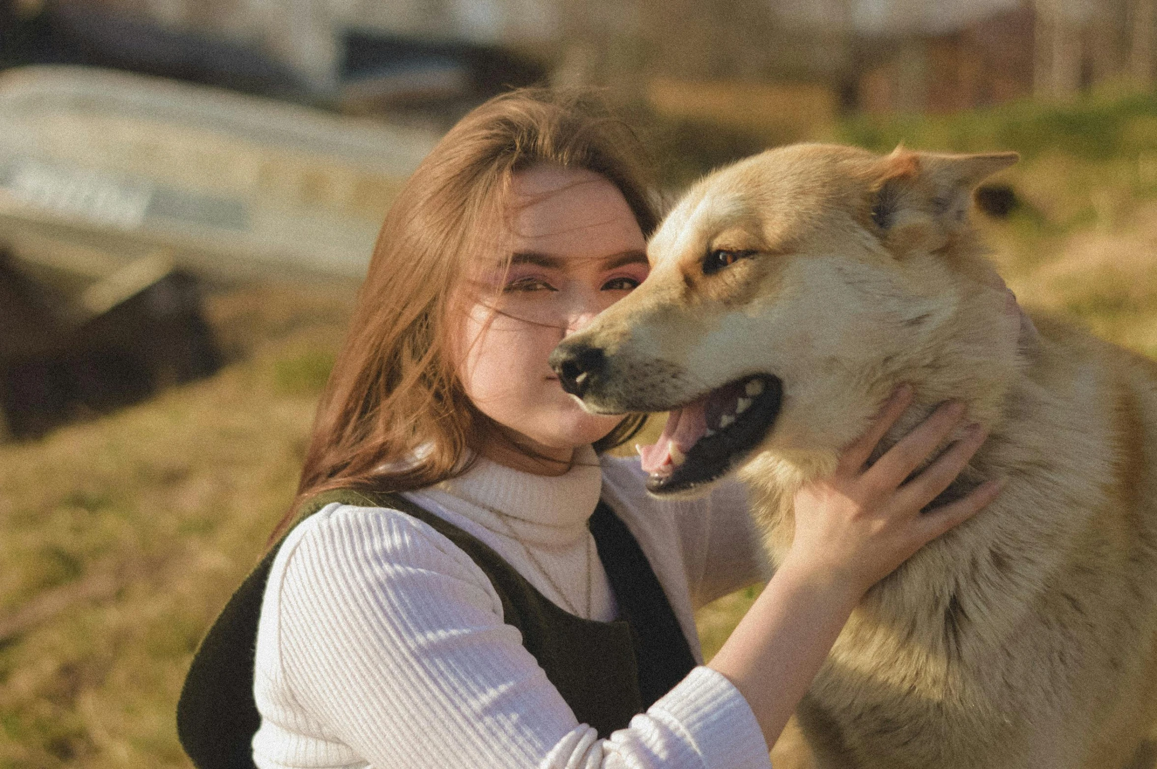 a woman is touching the nose of a dog