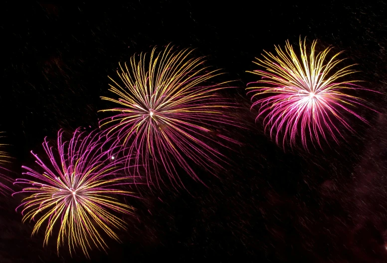 brightly colored fireworks explode in the sky during the night