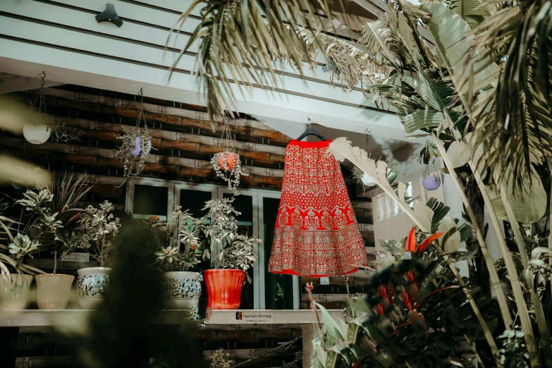 dress hanging from a ceiling near plants and hanging pots