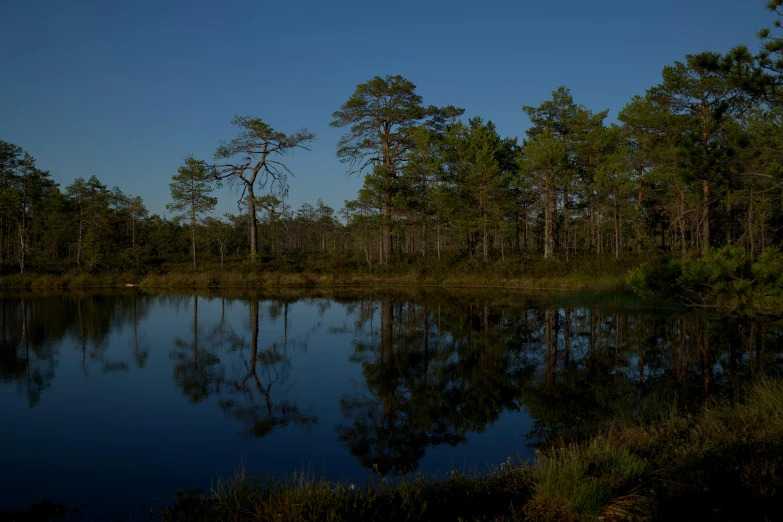 some trees water and the sky a few clouds