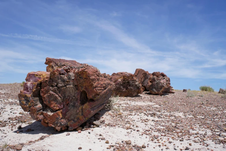 a single rock stands in a bed of rubble on a plain