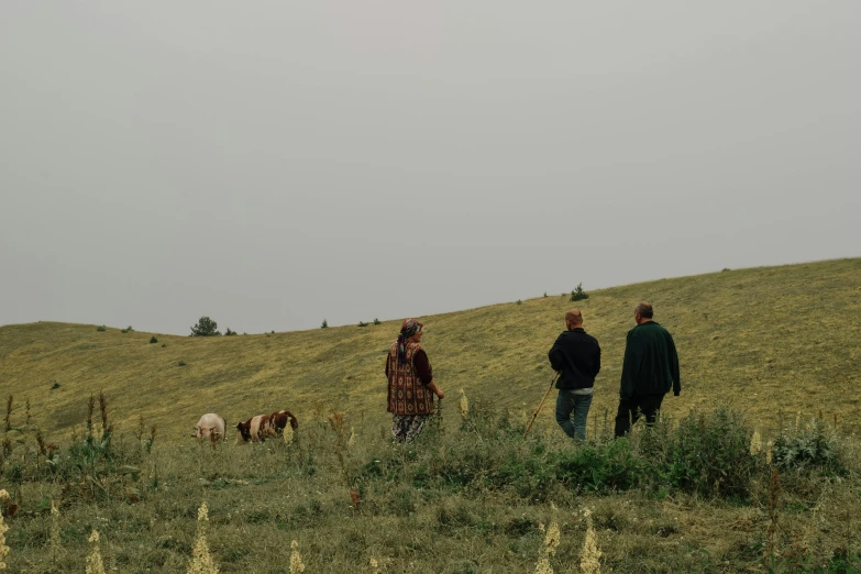 two men look at some cows on a hill