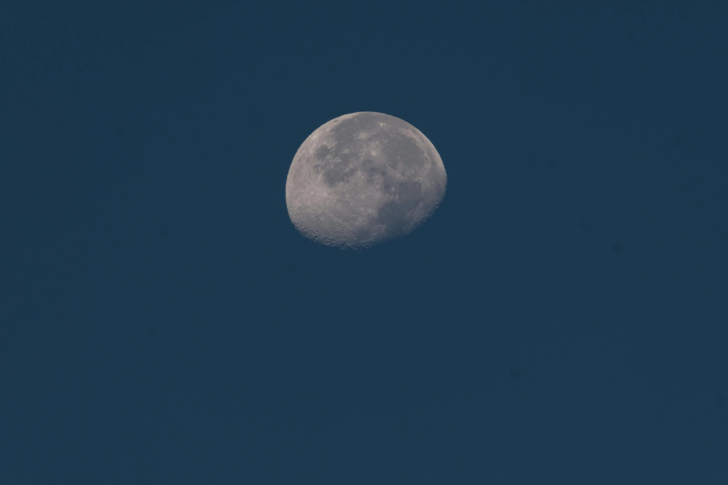 the moon is in the blue sky near some grass