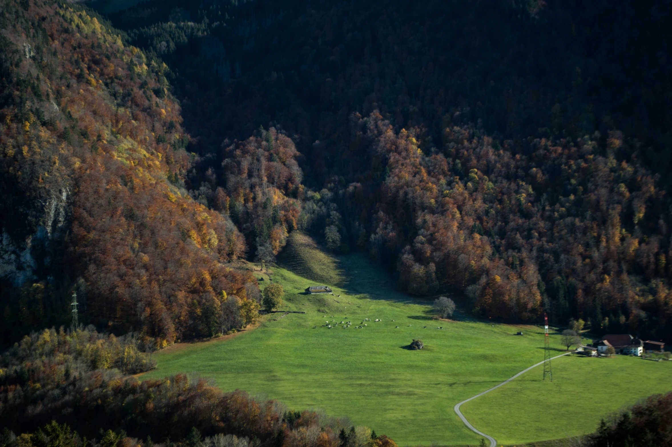 an image of a green field surrounded by trees