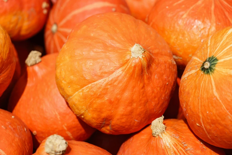 the whole pumpkin sits in the pile on display