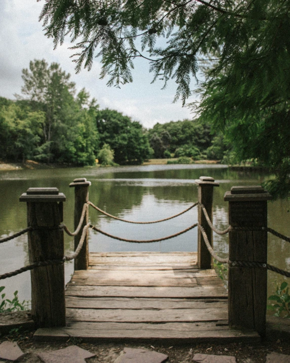 an old dock with rope railings and trees