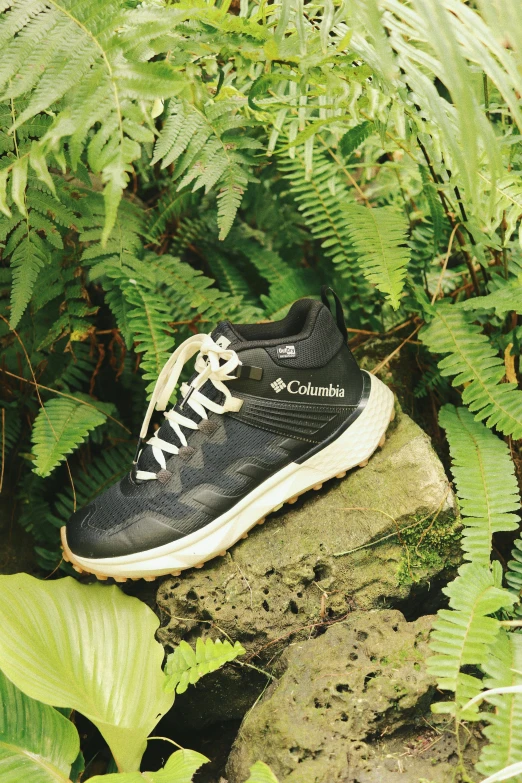 the black shoe sits on top of a rock in front of some ferns